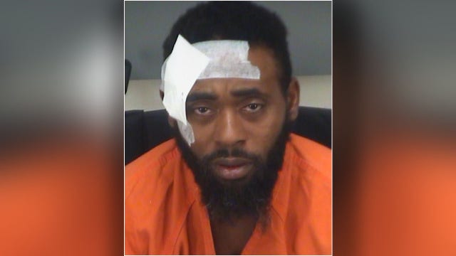 FHP: Brandon man evading arrest jumps into water, hides on island
