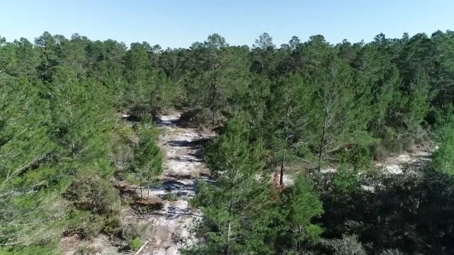 Pinellas, Dunedin need $2 million to purchase Hackworth’s undeveloped land for preservation