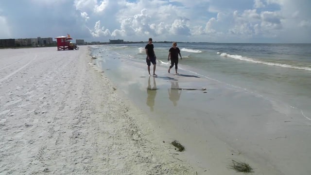 Patches of red tide detected along Florida's west coast