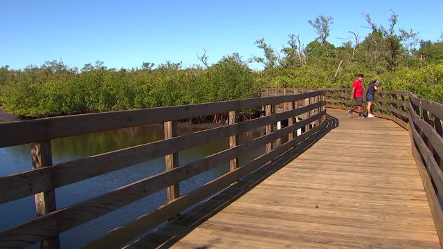 Take in the old Florida ecosystem of Emerson Point Preserve