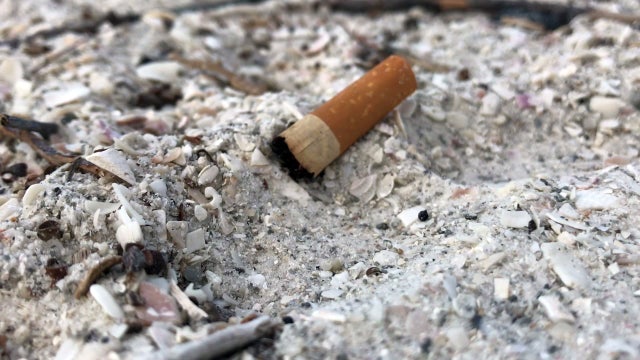 Beach-smoking ban again proposed by Florida lawmaker