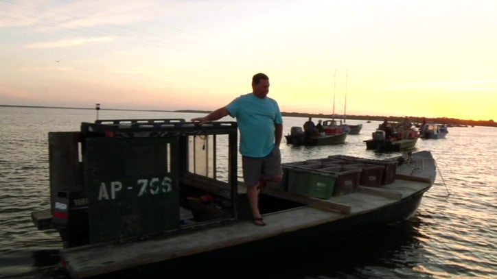 Ban on oyster harvesting is latest blow to Apalachicola Bay communities - Vimarsana News