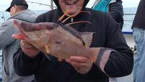 Fishing Report: January 15, 2020