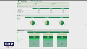 USF launches diversity, equity, and inclusion reporting website