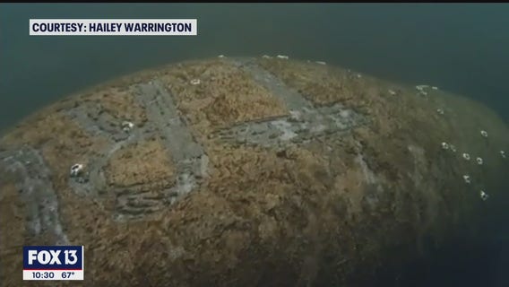 Experts: Harassment is harmful, even if manatee isn't physically hurt