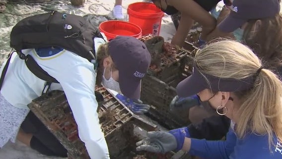 Super Bowl Green Week kicks off with beach dive to clean up marine trash