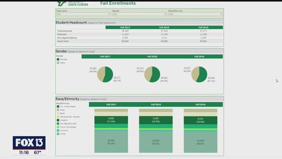 USF launches diversity, equity, and inclusion reporting website