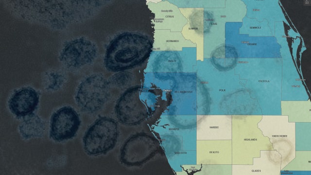 Tampa health experts say UK strain of COVID-19 likely spreading across Bay Area