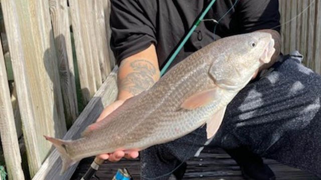Fishing Report: Jan. 29, 2021