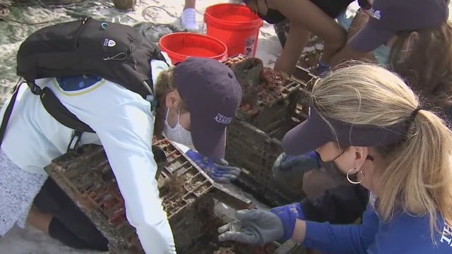 Super Bowl Green Week kicks off with beach dive to clean up marine trash