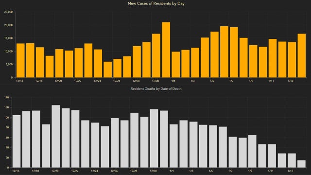 16,875 new Florida coronavirus cases reported Friday; 186 new deaths