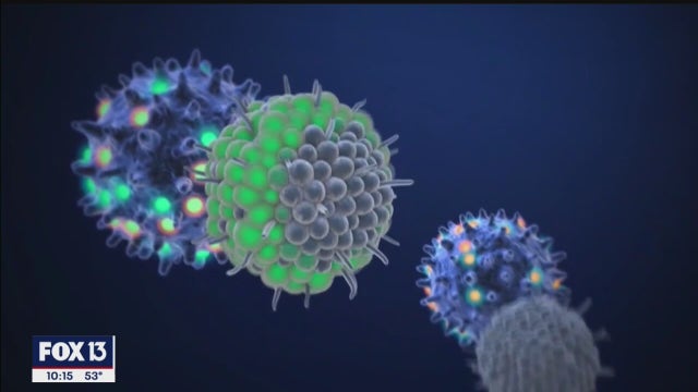 Coronavirus variant makes social measures to prevent disease spread more important, doctors say