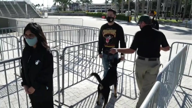 Miami Heat will use dogs to sniff out COVID-19 among fans before they enter arena