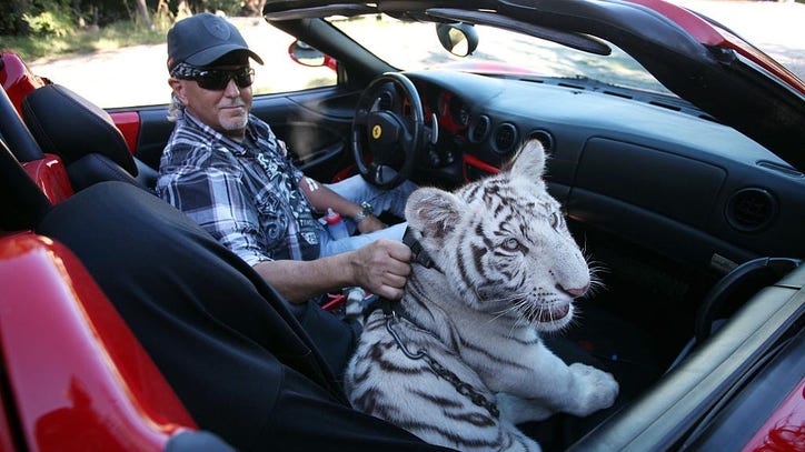 Judge orders 'Tiger King' zoo to turn over big cats to federal government - Vimarsana News