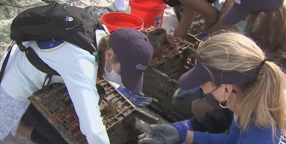 Super Bowl Green Week kicks off with beach dive to clean up marine trash