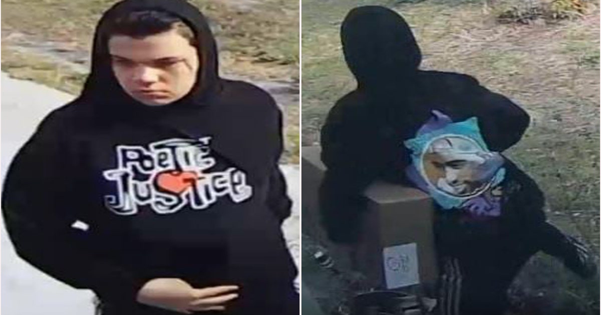 Pasco County deputies searching for suspect accused of stealing ...