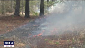 Crews torch more than 200 acres in Polk County as part of prescribed burn