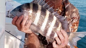 Fishing Report: Feb. 2, 2021