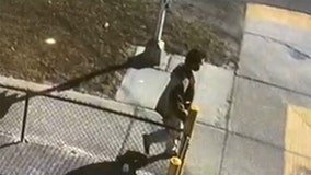 Car, spoiled vaccines recovered months after vehicle stolen from Plant City fairgrounds