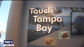 Environmental stewardship and interactive learning at St. Pete pier's Tampa Bay Watch