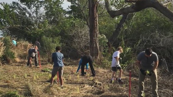 Volunteers to work to clean up driftwood debris left by Tropical Storm Eta