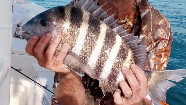 Fishing Report: Feb. 2, 2021