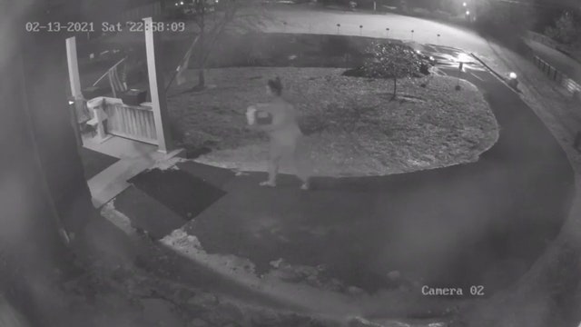 5 puppies die after being left outside animal shelter in below-freezing temperatures