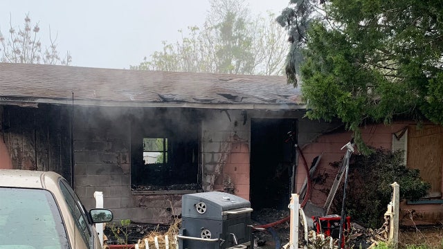 Six dogs found dead following Zephyrhills house fire
