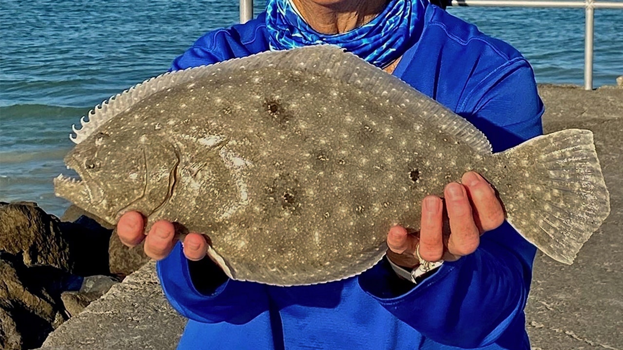 Flounder action has picked up inshore