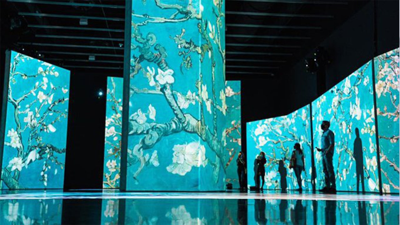 Van Gogh Alive Exhibit At Dali Museum Extended Through Mid June Van Gogh Alive Exhibit At Dali Museum Extended Through Mid June
