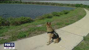 Deputy saves K9 from being drowned by fleeing suspect