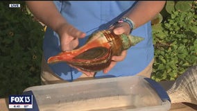 Tampa Bay Watch promotes environmental stewardship with family field trips