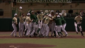 Freshman duo contributing to USF baseball's early success 