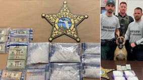 DeSoto sheriff K9 sniffs out meth, drug money during traffic stop