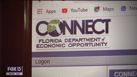 Florida unemployment system failure continues one year into pandemic