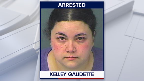 Brooksville woman accused of luring New York teen she met in online chatroom
