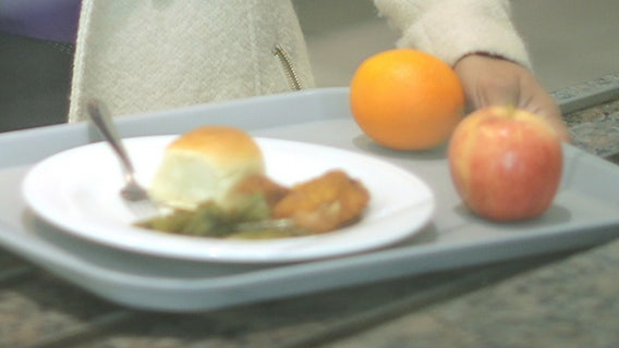 Family of teen who choked on chicken nugget gets $2 million settlement from Florida school district