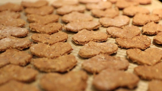 Seminole Heights couple turns brewers' waste into dog treats