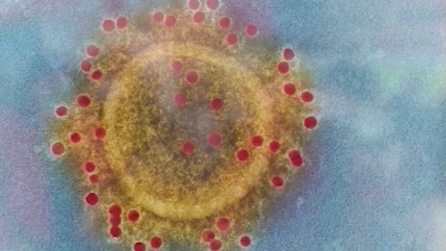 Bay Area doctors urge at-risk COVID-19 patients to seek antibody therapy