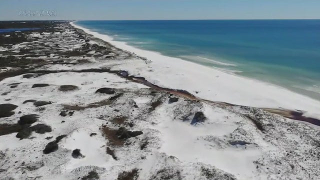 Researchers use drones to study coastal habitat migration across Tampa Bay