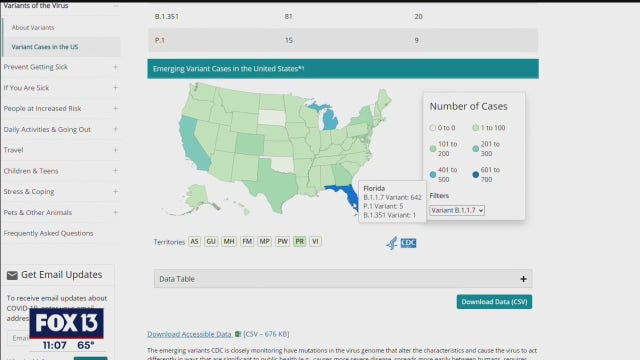 UK coronavirus variant on track to become dominant strain in Florida