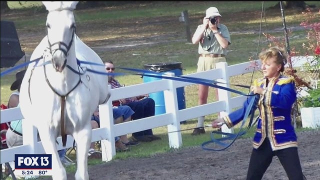 Equestrian community mourns sudden passing of family matriarch behind Lippizzan Stallions
