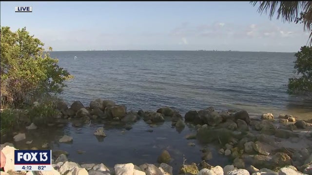New report reveals troubling water quality trends in Old Tampa Bay