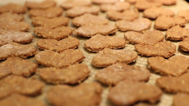 Seminole Heights couple turns brewers' waste into dog treats