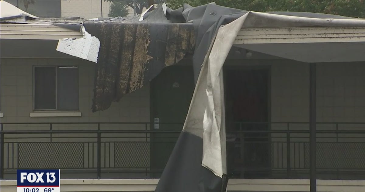 Sunday morning storms cause damage throughout Tampa Bay | FOX 13 Tampa Bay