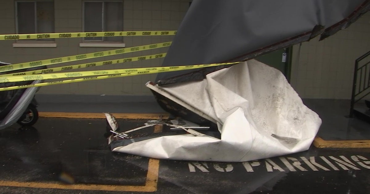 Bay Area cleaning up after deadly storms topple trees, down power lines ...