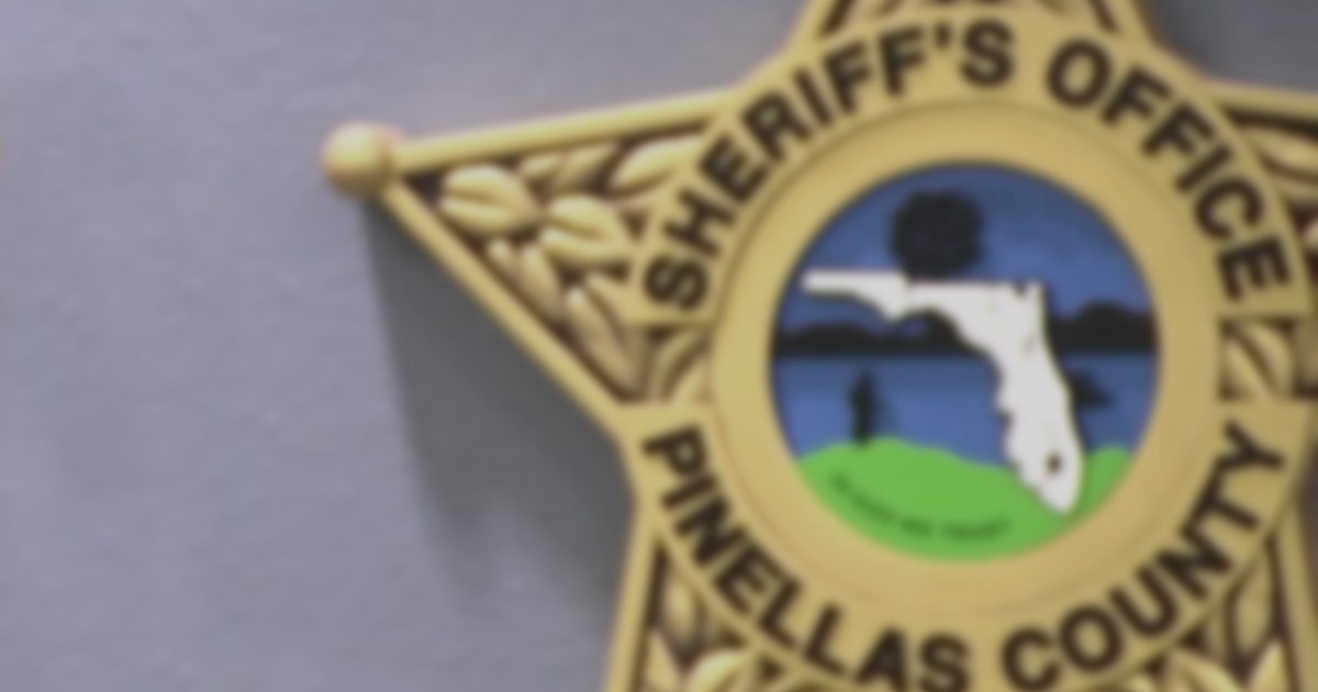 www.fox13news.com