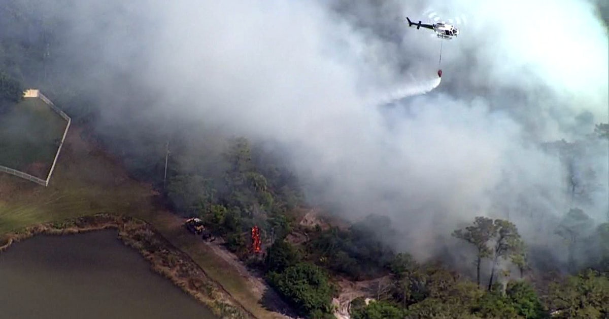 Crews beat back brush fire threatening Holiday neighborhood | FOX 13 ...