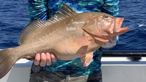Fishing Report: April 16, 2021