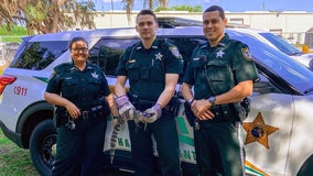 Deputies expel small alligator from Hardee elementary school